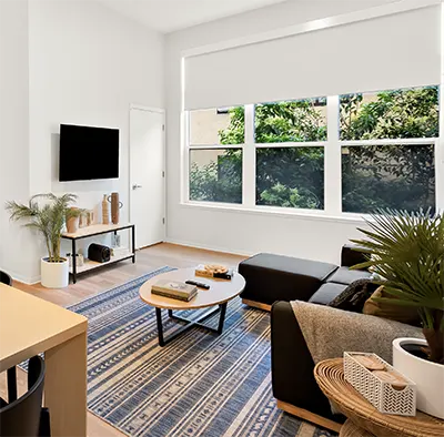 Student 3 Bedroom Apartments